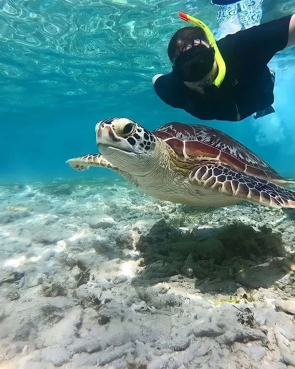 Snorkeling di Lombok