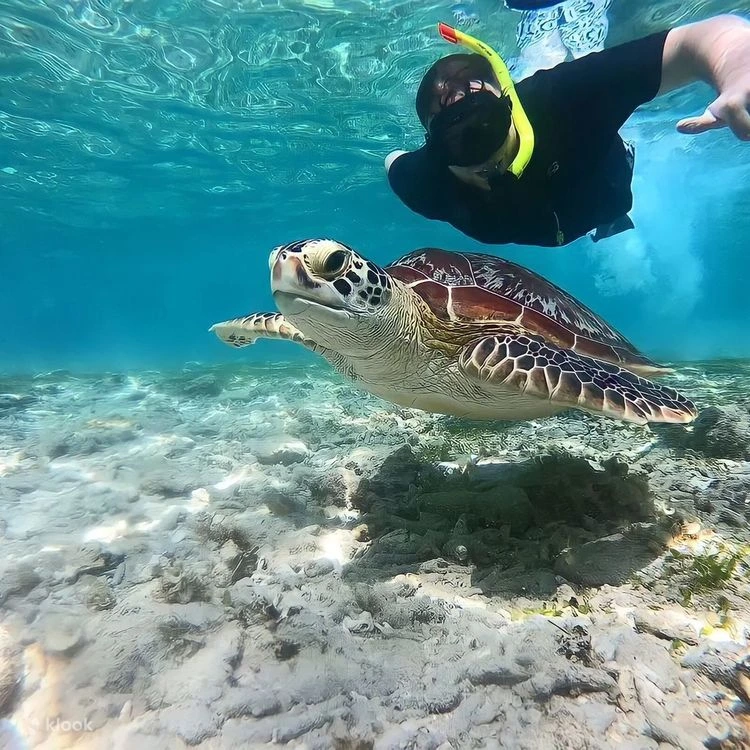 Snorkeling di Lombok