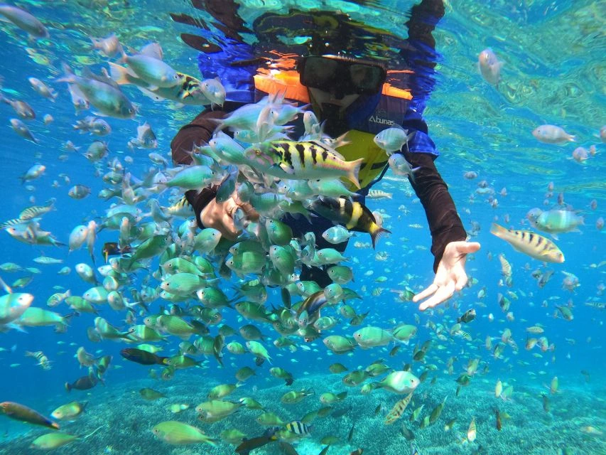 Snorkeling di Lombok