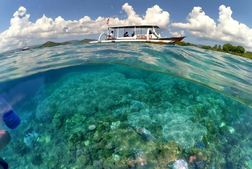 Snorkeling di Lombok