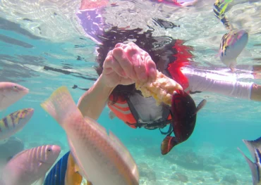 Snorkeling di Lombok