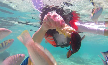 Snorkeling di Lombok