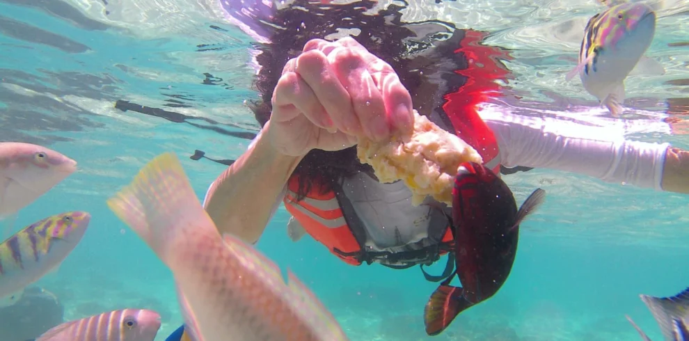 Snorkeling di Lombok