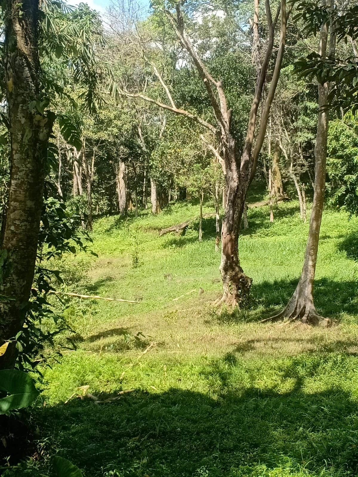 Wisata Air Terjun di Lombok