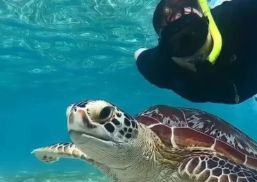 Snorkeling di Lombok