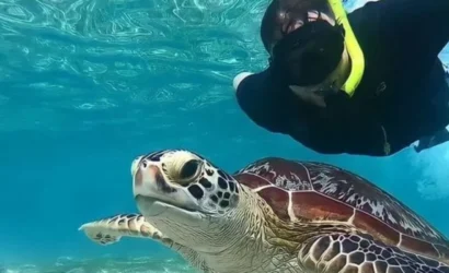 Snorkeling di Lombok