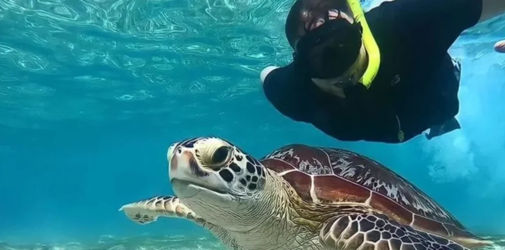 Snorkeling di Lombok