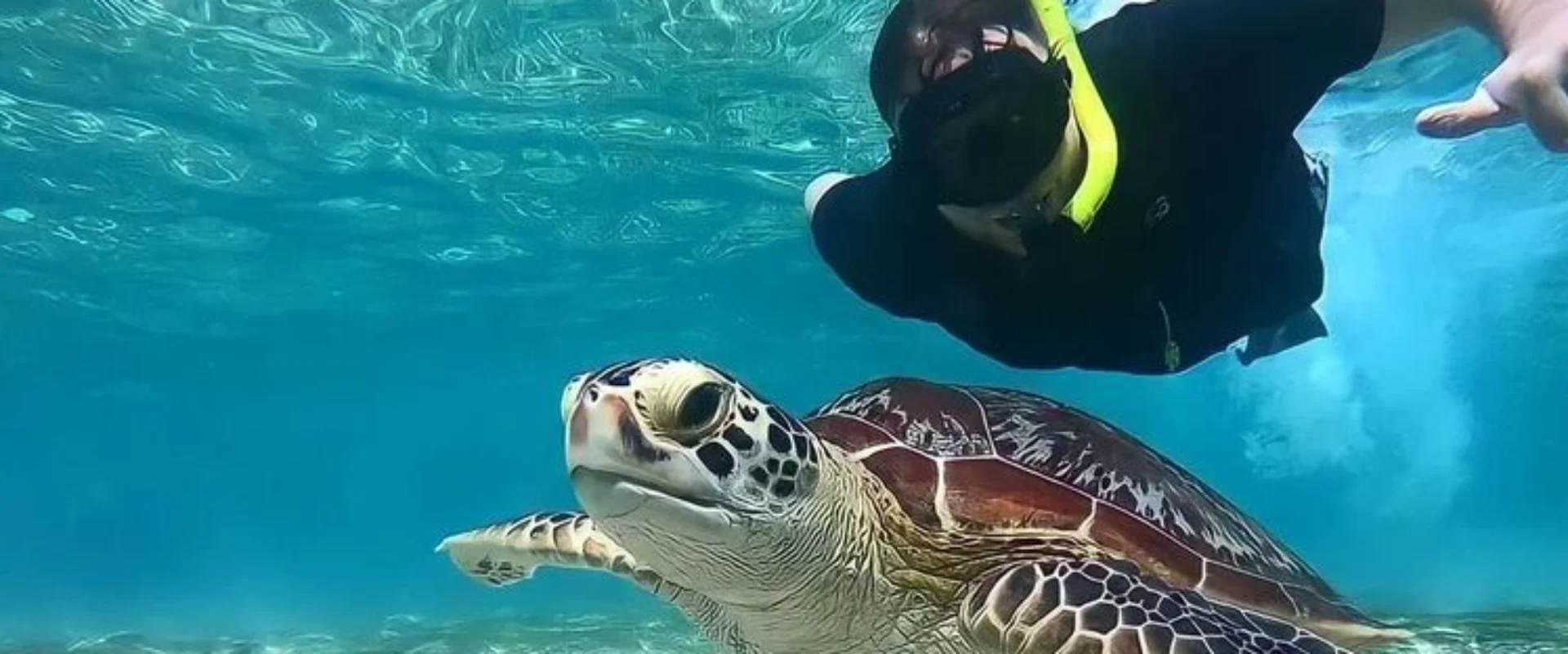 Snorkeling di Lombok