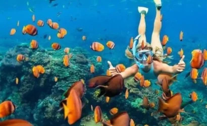 Snorkeling di Lombok