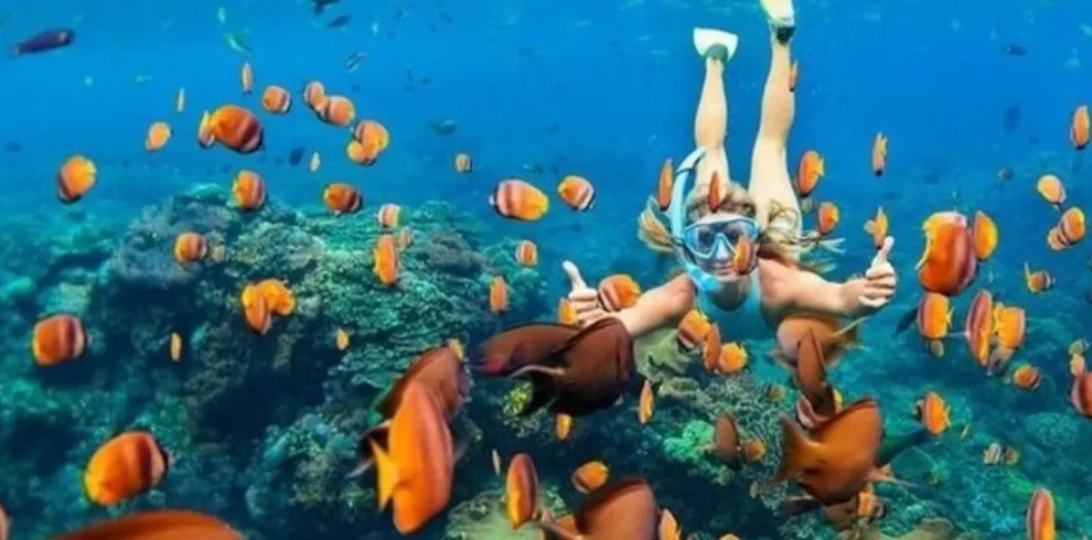 Snorkeling di Lombok